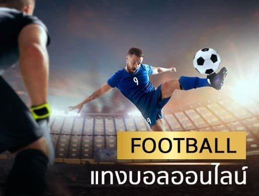 สล็อตทรูวอเล็ท-สล็อต ฝากถอน true wallet เว็บตรง